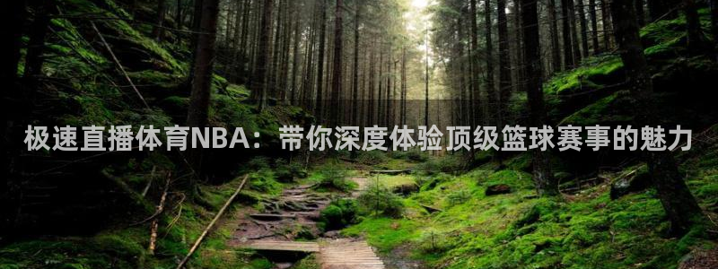 极速直播体育NBA：带你深度体验顶级篮球赛事的魅力