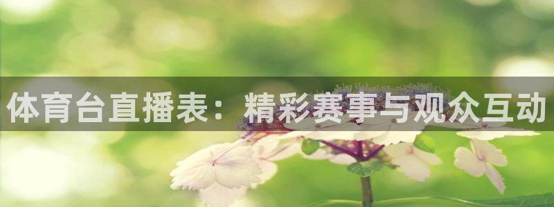 体育台直播表：精彩赛事与观众互动