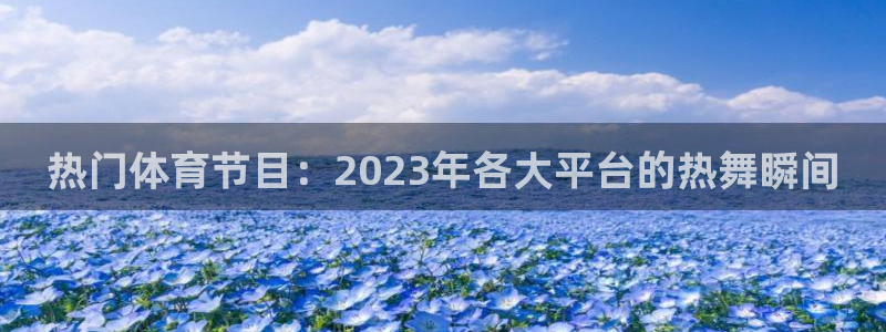 热门体育节目：2023年各大平台的热舞瞬间
