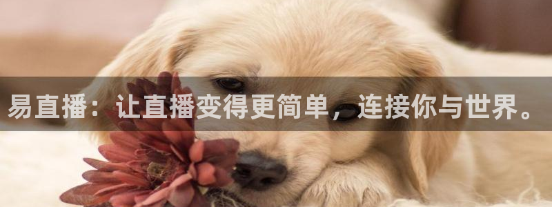 易直播：让直播变得更简单，连接你与世界。