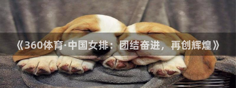 《360体育·中国女排：团结奋进，再创辉煌》