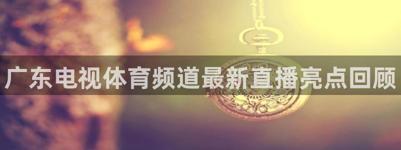 广东电视体育频道最新直播亮点回顾