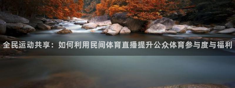全民运动共享：如何利用民间体育直播提升公众体育参与度与福利
