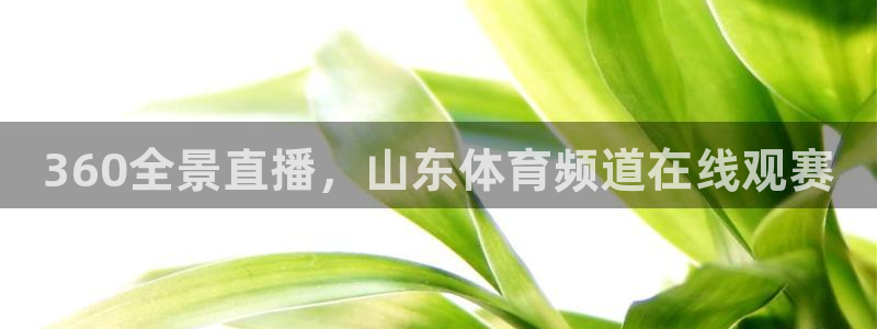 360全景直播，山东体育频道在线观赛