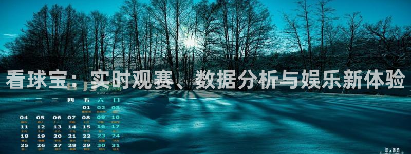 看球宝：实时观赛、数据分析与娱乐新体验