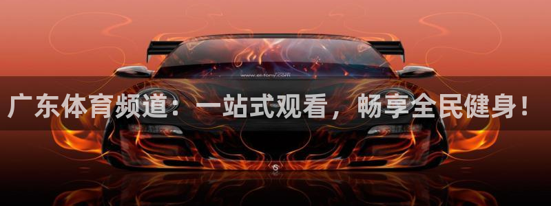 广东体育频道：一站式观看，畅享全民健身！
