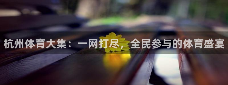 杭州体育大集：一网打尽，全民参与的体育盛宴