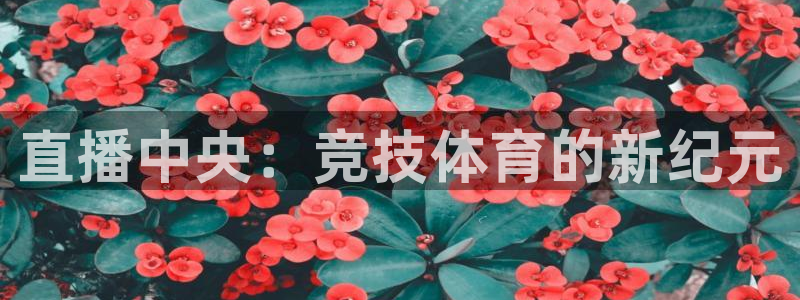 直播中央：竞技体育的新纪元
