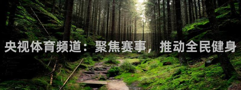 央视体育频道：聚焦赛事，推动全民健身