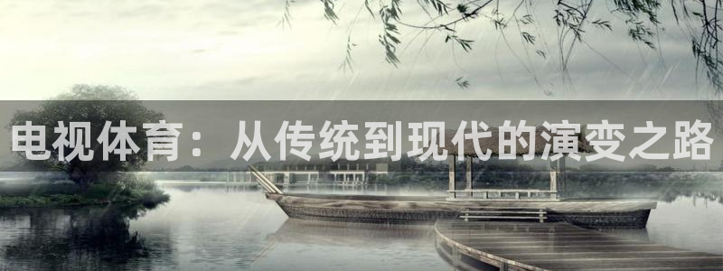 电视体育：从传统到现代的演变之路