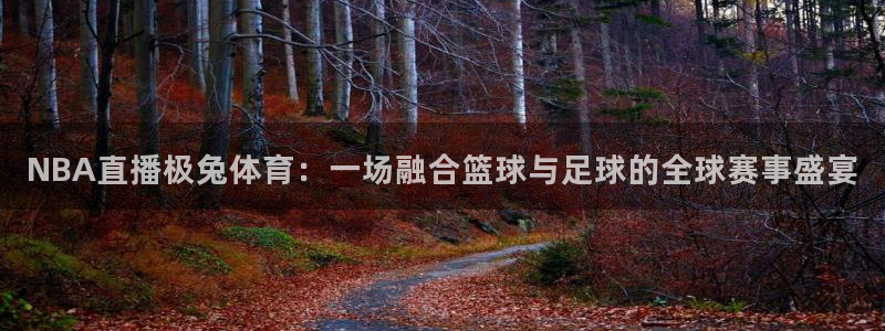 NBA直播极兔体育：一场融合篮球与足球的全球赛事盛宴