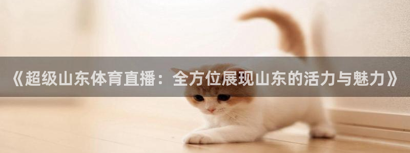 《超级山东体育直播：全方位展现山东的活力与魅力》