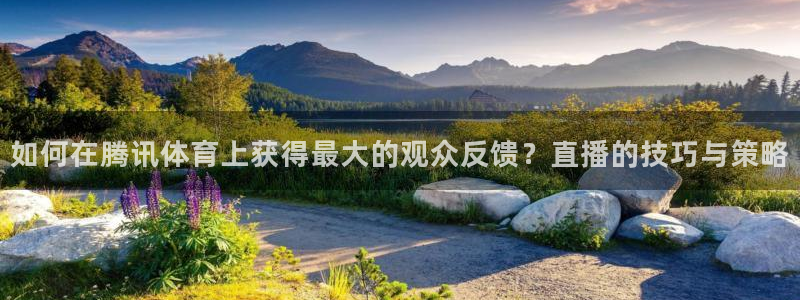 如何在腾讯体育上获得最大的观众反馈？直播的技巧与策略