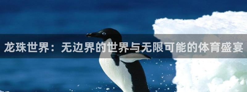 龙珠世界：无边界的世界与无限可能的体育盛宴