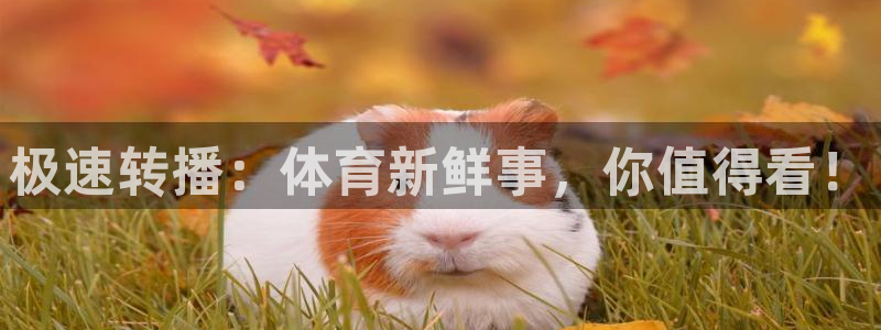 极速转播：体育新鲜事，你值得看！